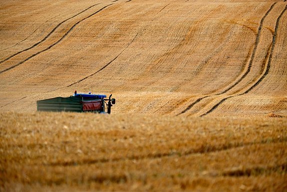 Servicios agrícolas